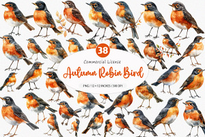 Autumn American Robin Bird Clipart, an Illustration by SinaCreation