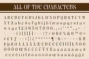 CS Harmony Drawn, a Serif Font by Craft Supply Co. (Thumbnail 8 of 8)