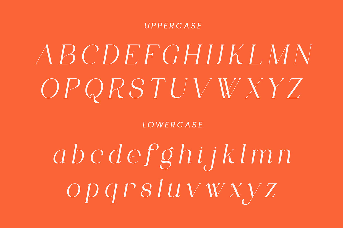 ANNI - Regular & Italic Serif Font, a Serif Font by AnnofaType (Photo 6 of 8)