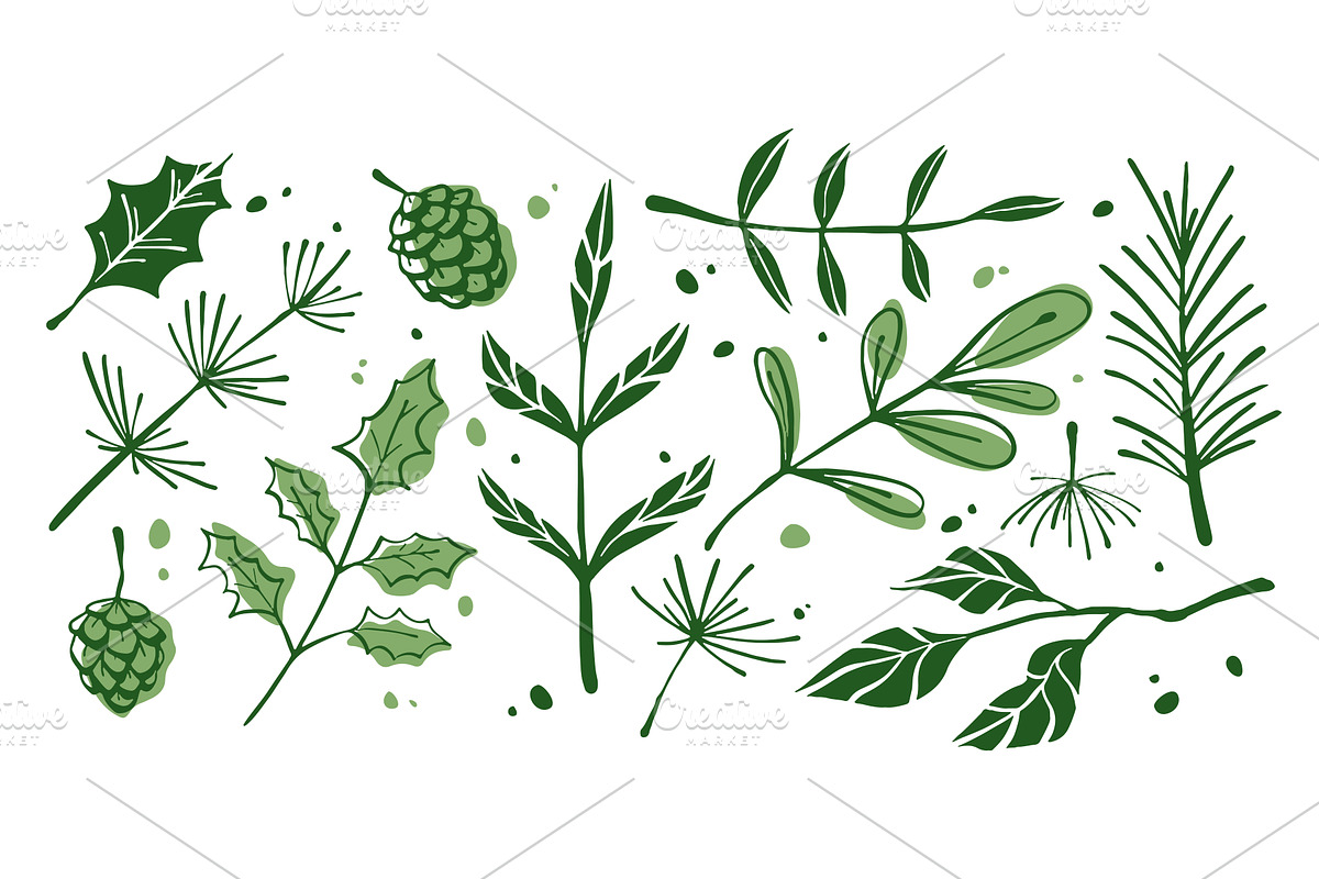 Pine branch set with evergreen, an Object Illustration by art PVP - market