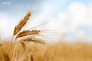 Fabulous Fades Lightroom Presets, an Action Add-On by Photography Planet (Thumbnail 2 of 5)