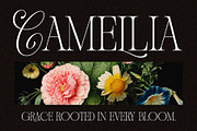 Andiena Bielsa - Hybrid Serif, a Serif Font by Arterfak Project (Thumbnail 3 of 12)