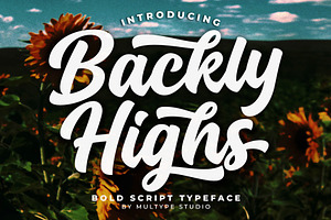 Backly Highs - Title Brand Font, a Script Font by Multype Studio