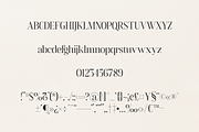SALE! Flowrite - modern font duo, a Serif Font by VP Fonts (Thumbnail 14 of 16)