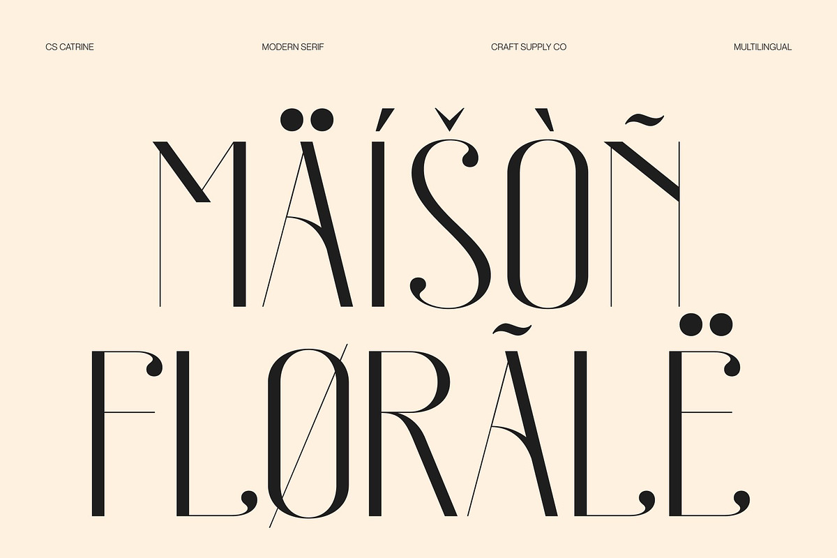 CS Catrine – Modern Sans Serif Font, a Sans Serif Font by Craft Supply Co. (Photo 7 of 8)