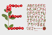 Cowberry Font, a Font by Handmadefont (Thumbnail 6 of 8)