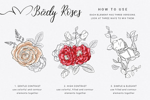 Birdy Roses Collection