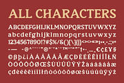 CS Bison – Retro Font, a Serif Font by Craft Supply Co. (Thumbnail 8 of 8)