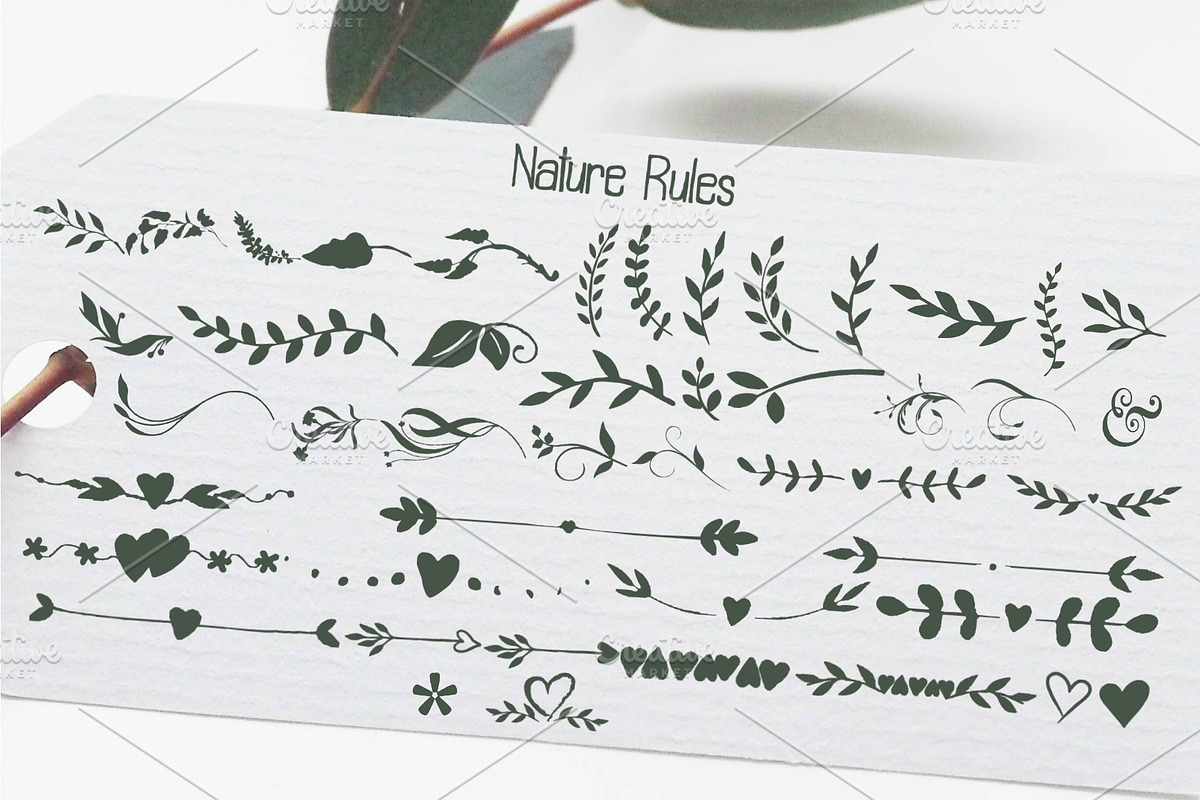 Willow & Thyme with Logo Ornaments preview 4