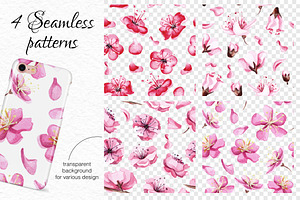 Watercolor Sakura Blossom Collection