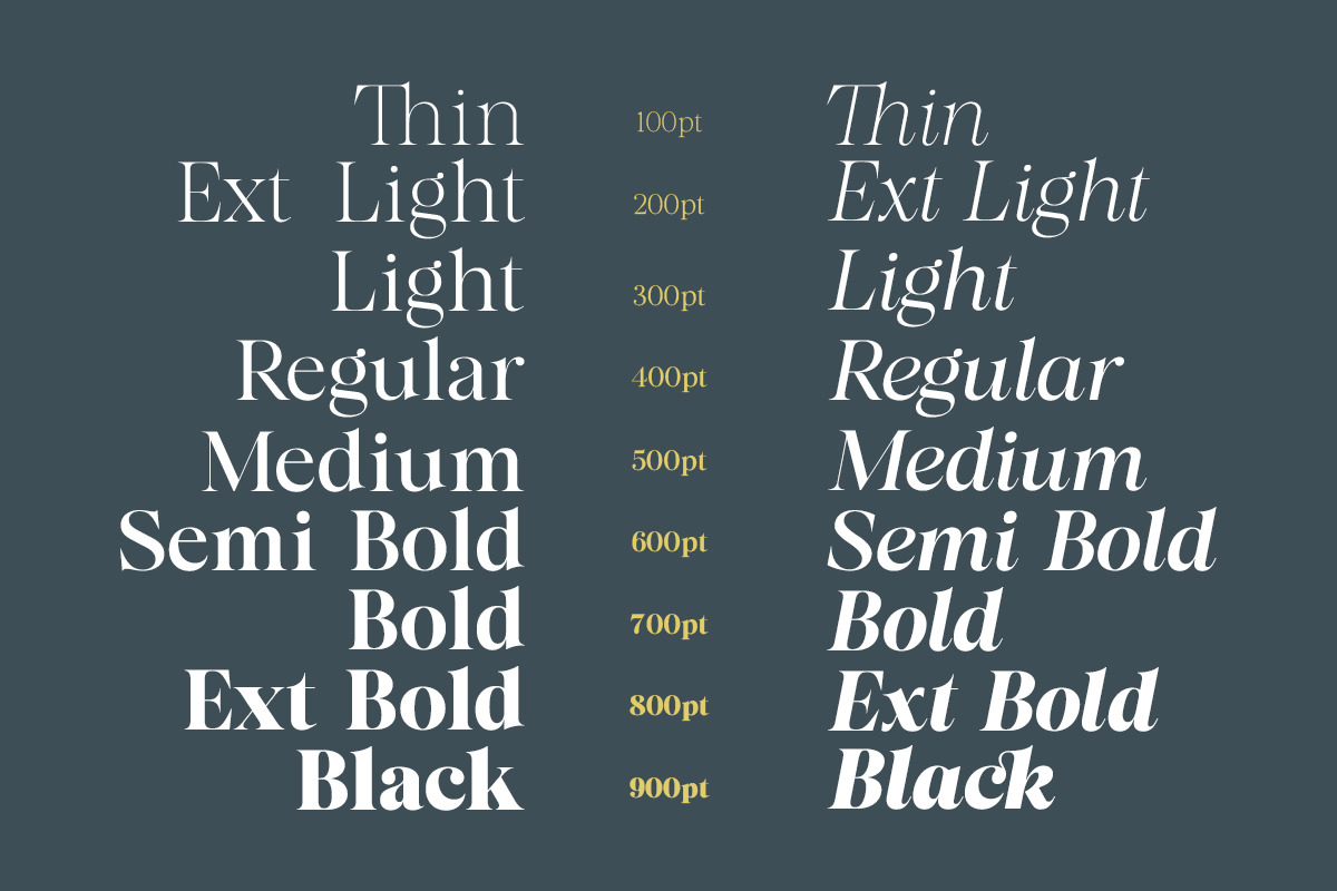 Almero Serif Family, a Serif Font by Zane Studio (Photo 6 of 11)
