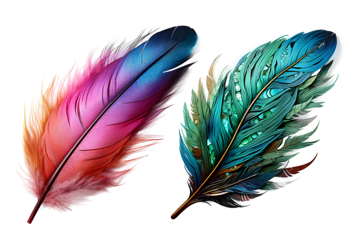 Birds Feathers Clipart, an Object Graphic by Agnesagraphic (ID 95) (Photo 3 of 7)