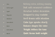 Sealine, a Serif Font by din-studio.com (Thumbnail 4 of 11)