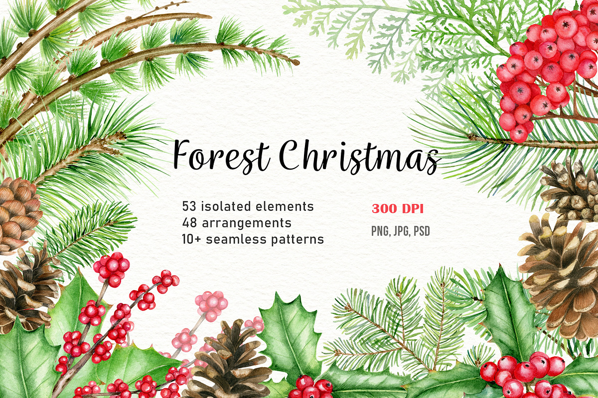 Forest Christmas set, an Illustration by svetodesign (Photo 1 of 12)