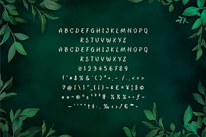 Branchy - Decorative Display Font