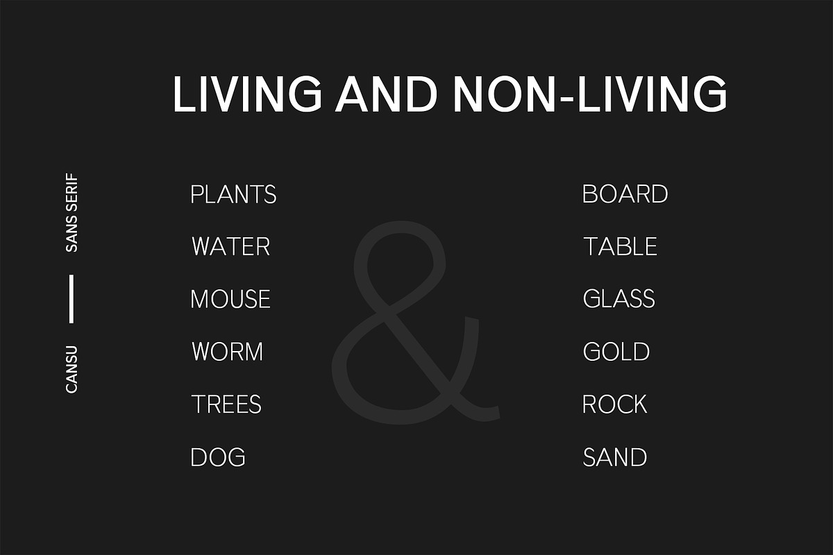 Cansu Sans Serif Font Family preview 5