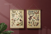 BUNDLE: 200 Vintage Art Prints, a Decorative Illustration by The Object Atlas (Thumbnail 12 of 22)