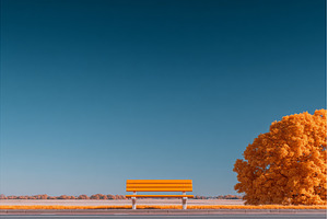In the Dutch province of Drenthe, a Nature Photo by ZinetroN