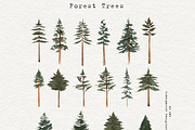 Watercolor Forest Trees Clipart, an Education Illustration by Ooh Lily (Thumbnail 2 of 6)