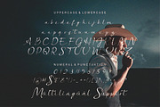 Feals Signature, a Script Font by JNJ Studio (Thumbnail 9 of 11)