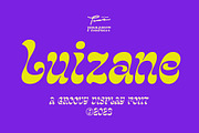Luizane Groovy Font, a Font by Panatype™ Studio (Thumbnail 9 of 10)