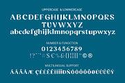 Regata Modern Luxury Display Font, a Script Font by RHD Creative Studio (Thumbnail 9 of 9)