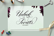 Gallisia Script, a Script Font by Picatype Studio (Thumbnail 7 of 9)