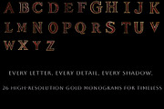 Black Gold Alphabet, an Object Graphic by Vika_Softlife (Thumbnail 2 of 5)