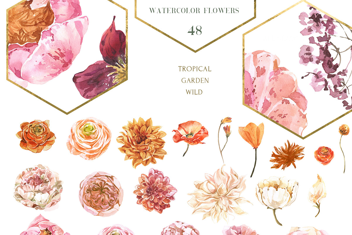 FLORISTA Huge Floral Collection, an Illustration by Cat In Colour (Photo 9 of 14)