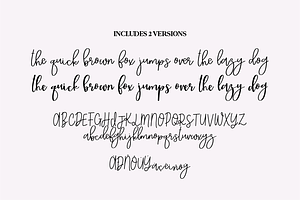 SKYLIGHT Elegant Brush Script Font