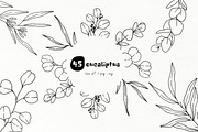Eucalyptus Line Art Graphics, a Decorative Illustration by DENIDigitalArtSudio (Thumbnail 1 of 5)