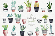 Cactus clipart with pots, a Decorative Illustration by Colibri Watercolor (Thumbnail 1 of 5)