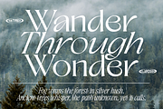 TAN - CLARIDGES, a Font by TanType (Thumbnail 5 of 13)