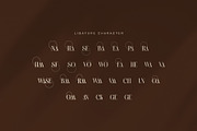 Hawase Elegant Serif Font, a Serif Font by Graphicxell (Thumbnail 8 of 8)