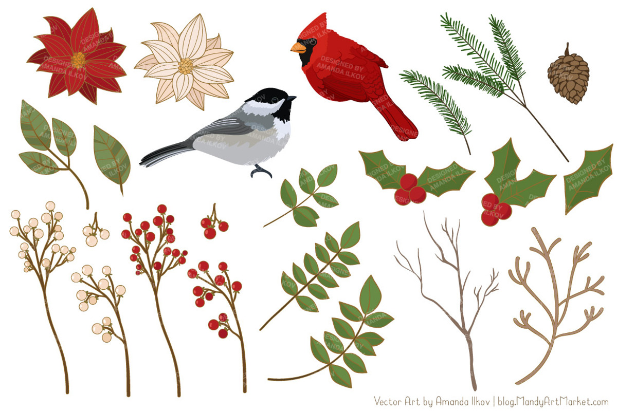 Christmas Birds & Flowers Vectors, an Illustration by Amanda Ilkov (Photo 4 of 5)