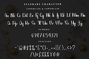 Monday, a Handwritten Font by FreshTypeINK (Thumbnail 2 of 7)