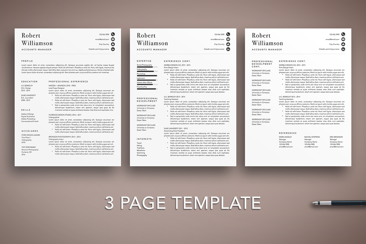 Professional Resume Template, a Resume Template by The Creative Resume (Photo 3 of 8)