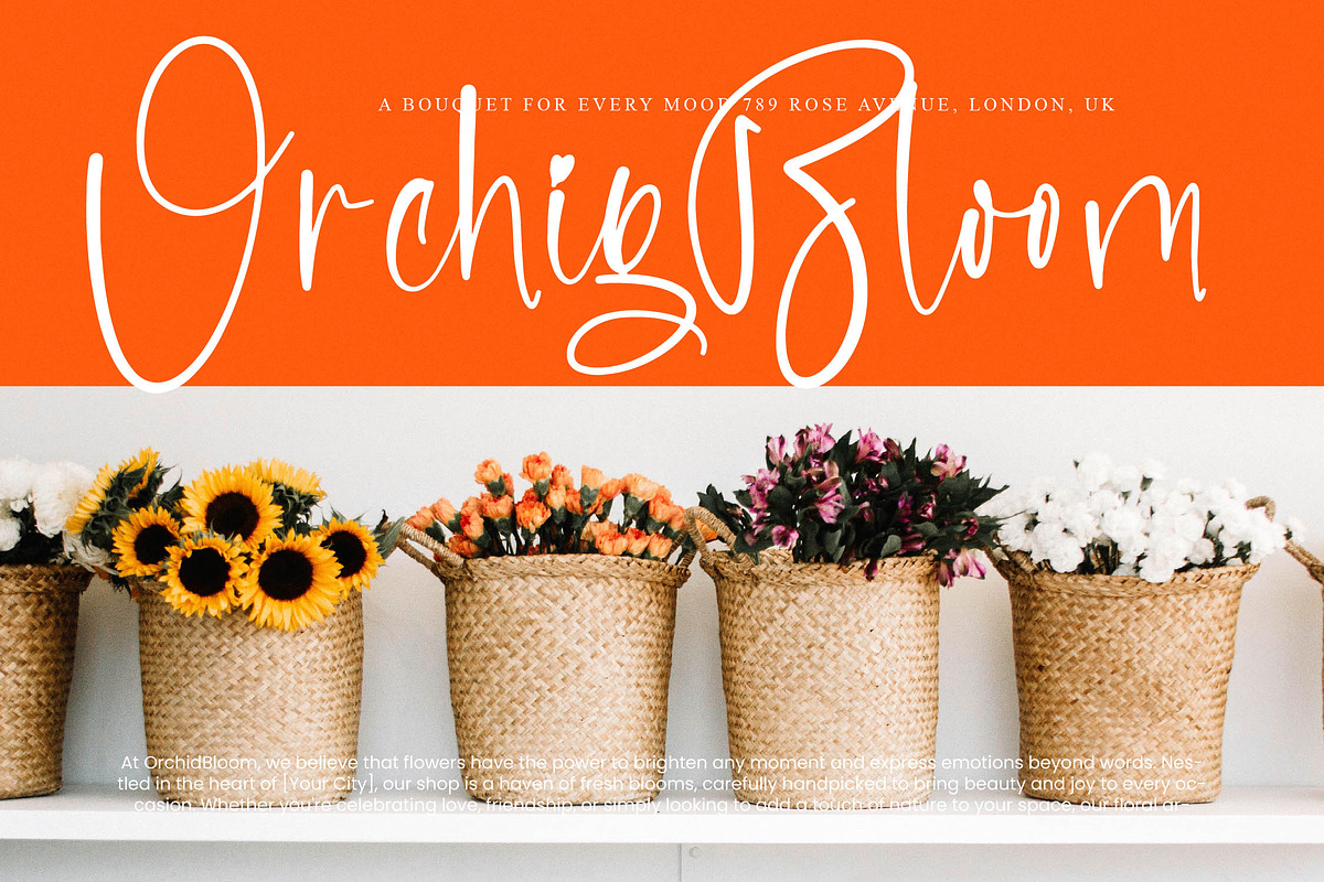 Blisk Orage, a Script Font by operatype.co (Photo 5 of 15)
