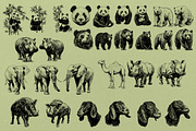330 ZOO Animals vector illustrations, an Animal Illustration by Nocturnal Wolf (Thumbnail 12 of 18)