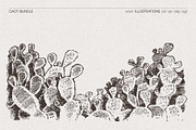 Sketch Cacti Vector Bundle, a Seasonal Illustration by TheMountBirdStudio (Thumbnail 10 of 14)