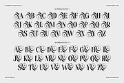 Hecate Display Modern Editorial Font, a Serif Font by roomspace creative lab (Thumbnail 7 of 14)