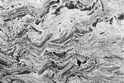 Warped Marble, a Texture Graphic by Jennifer Lauren Creative (Thumbnail 16 of 20)