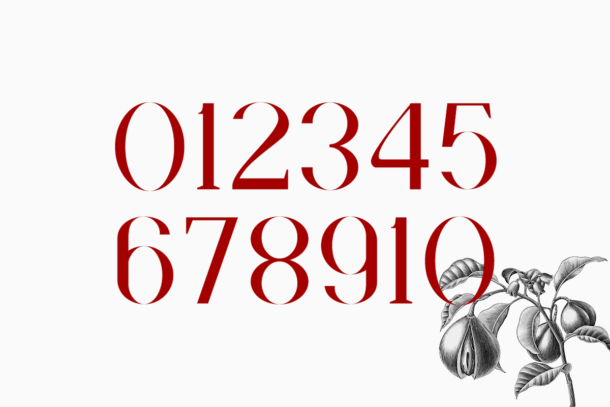Faradize - Elegant Serif Font, a Serif Font by RockboyStd (Photo 11 of 12)