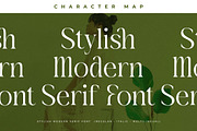 Blanvad Stylish Modern Serif, a Serif Font by Storytype Studio (Thumbnail 7 of 15)
