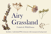 Airy Grassland — Umbels & Wild Forms, an Object Graphic by Aga Silva (Thumbnail 2 of 14)