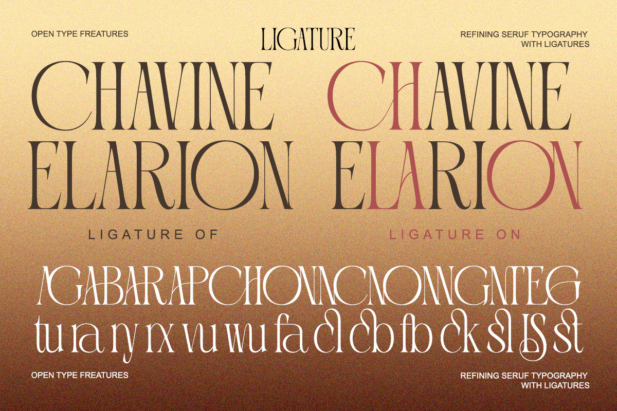 Portiso - Modern Luxury Serif, a Serif Font by Qweera Studio (Photo 10 of 12)