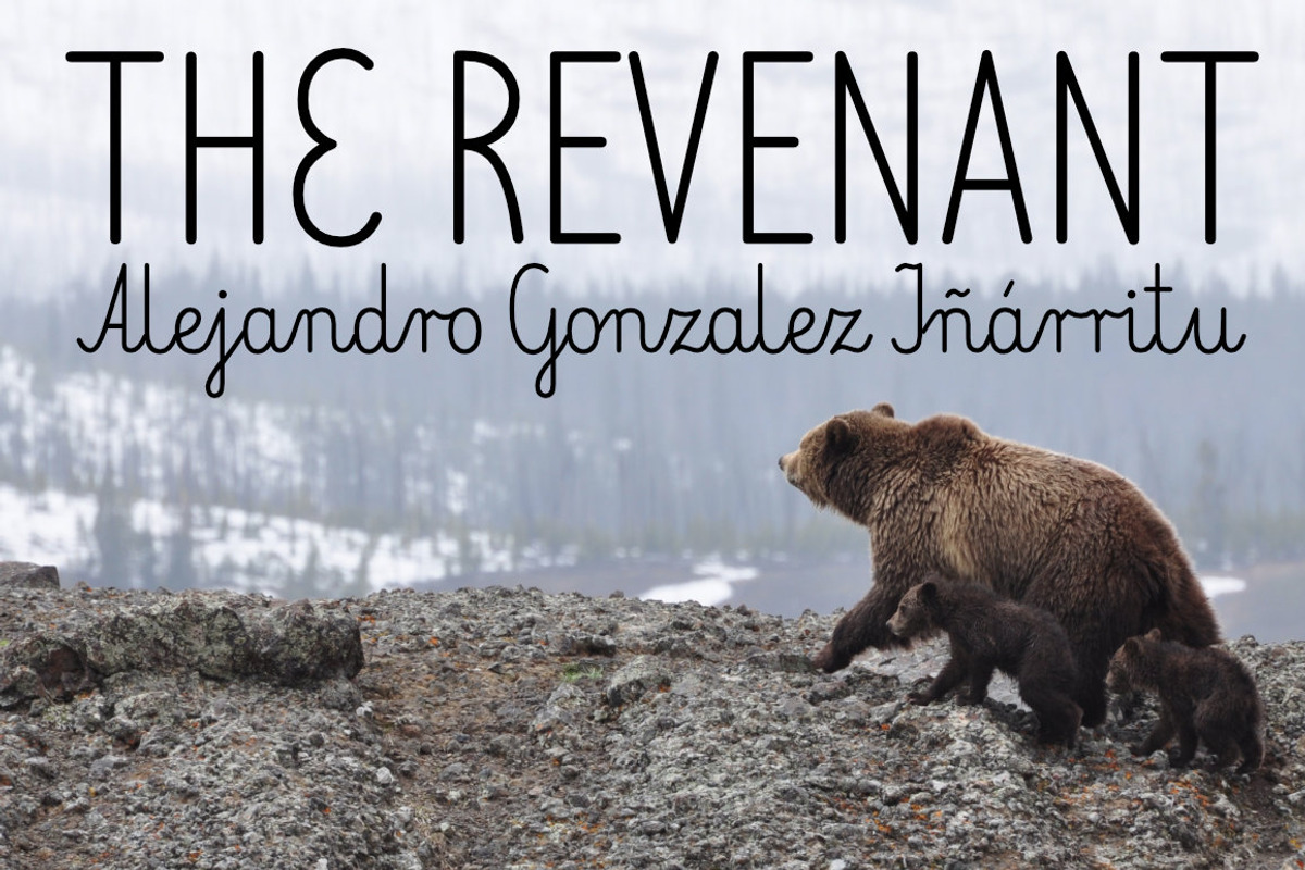 Elementarz Pro, a Script Font by Leitmotif (Photo 5 of 6)