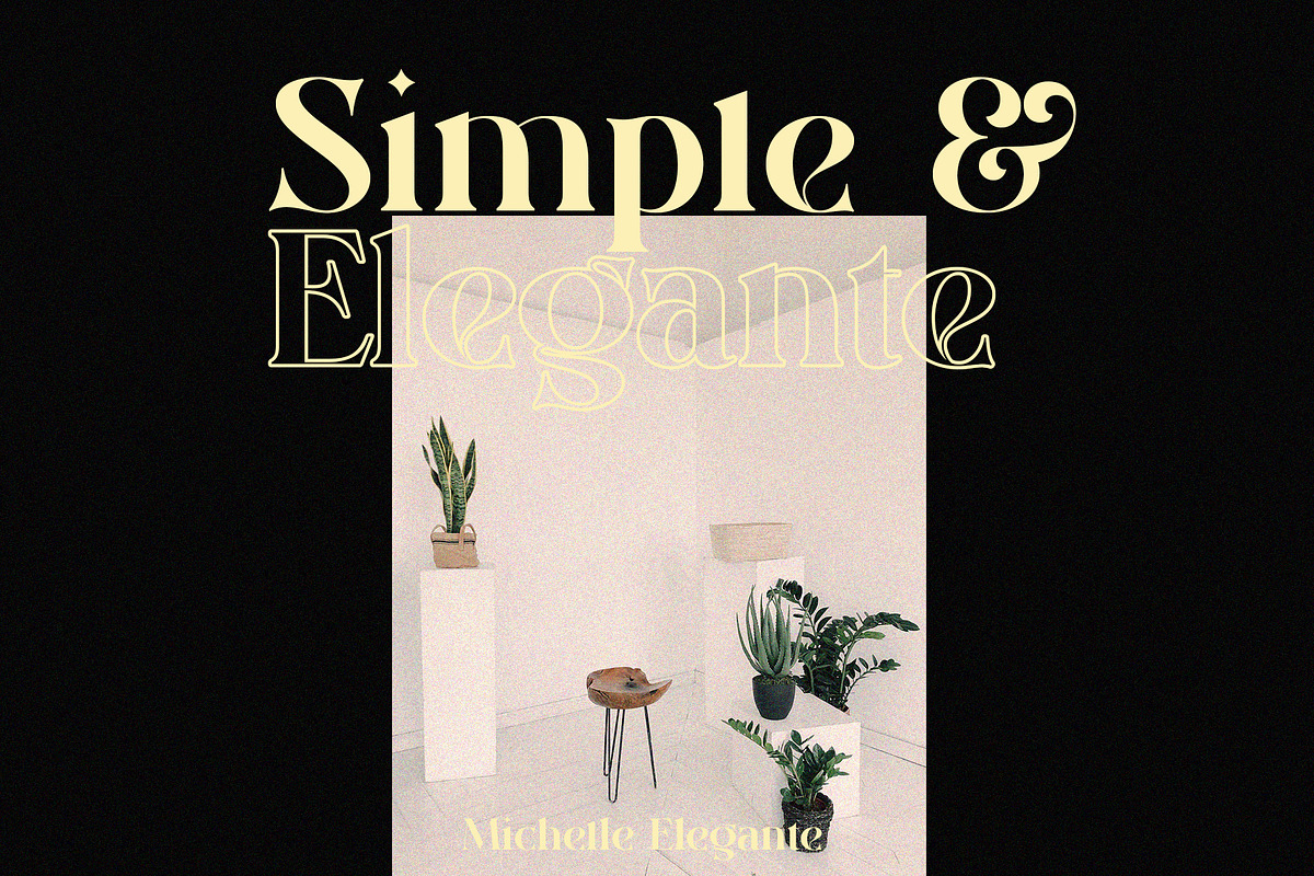 Michelle Elegante, a Serif Font by INKSUN™ (Photo 7 of 10)