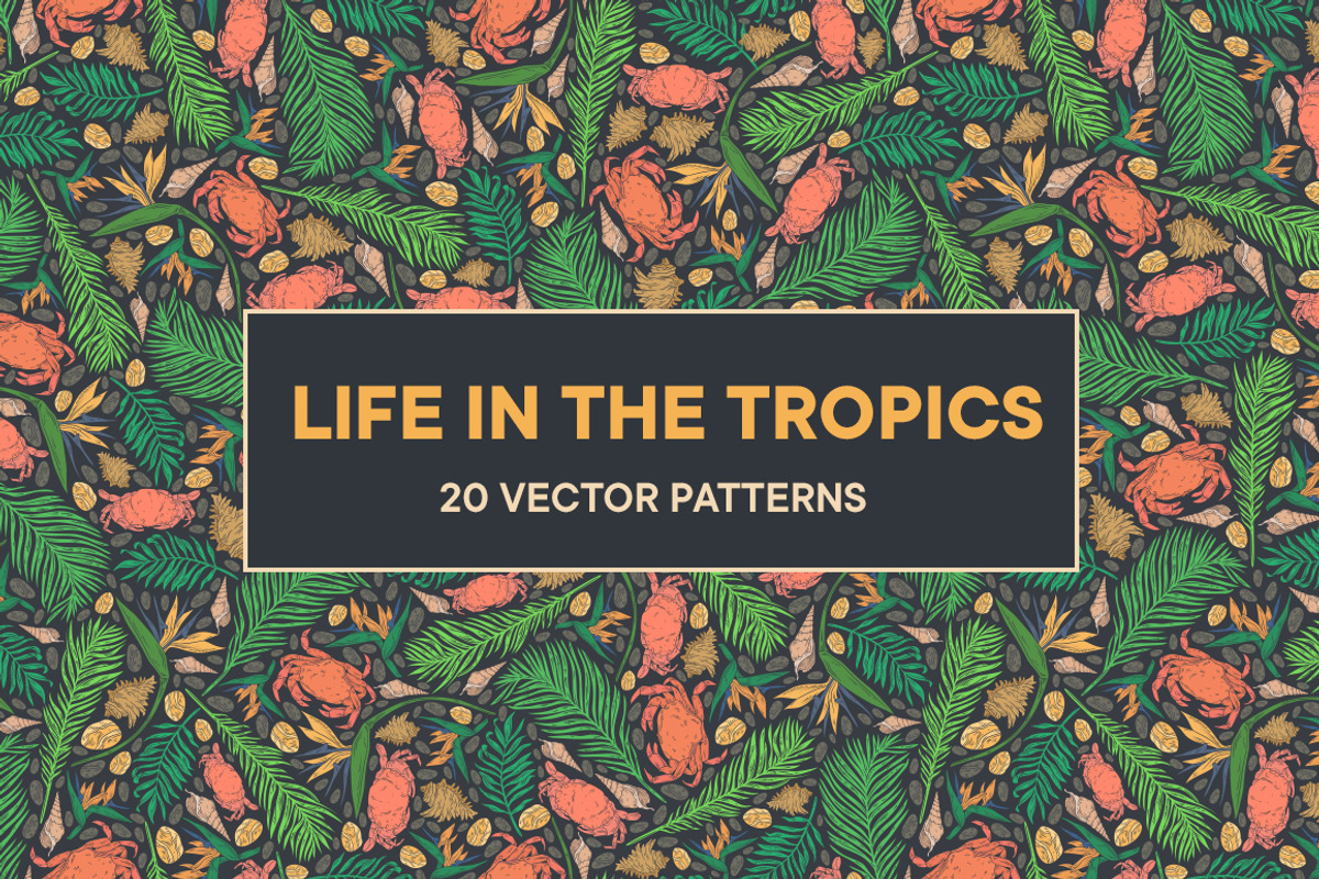 Life in the Tropics patterns, a Pattern Graphic by Piñata (Photo 14 of 14)