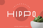 Hippo Sans Serif | 3 styles, a Sans Serif Font by VP Fonts (Thumbnail 1 of 10)
